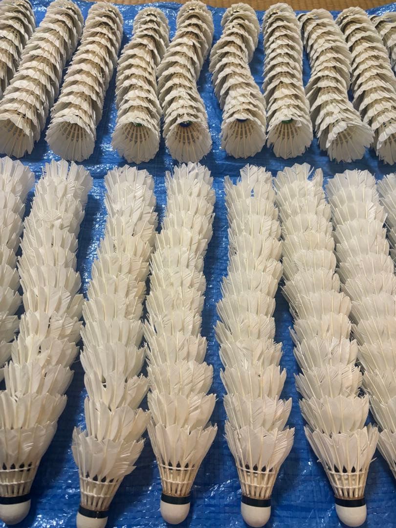 中古⭐︎ニューオフェシャルのみノック用シャトル⭐︎260球