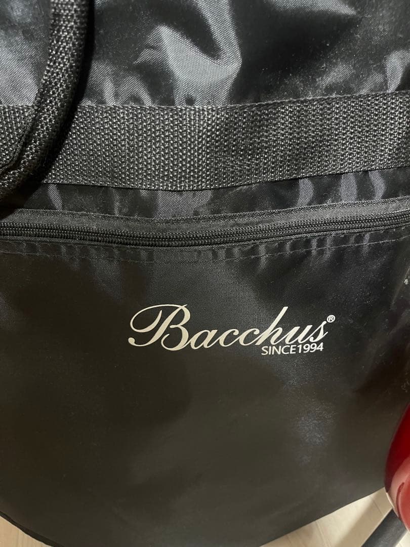 Bacchus Universe Series エレキギター ジャズマスター