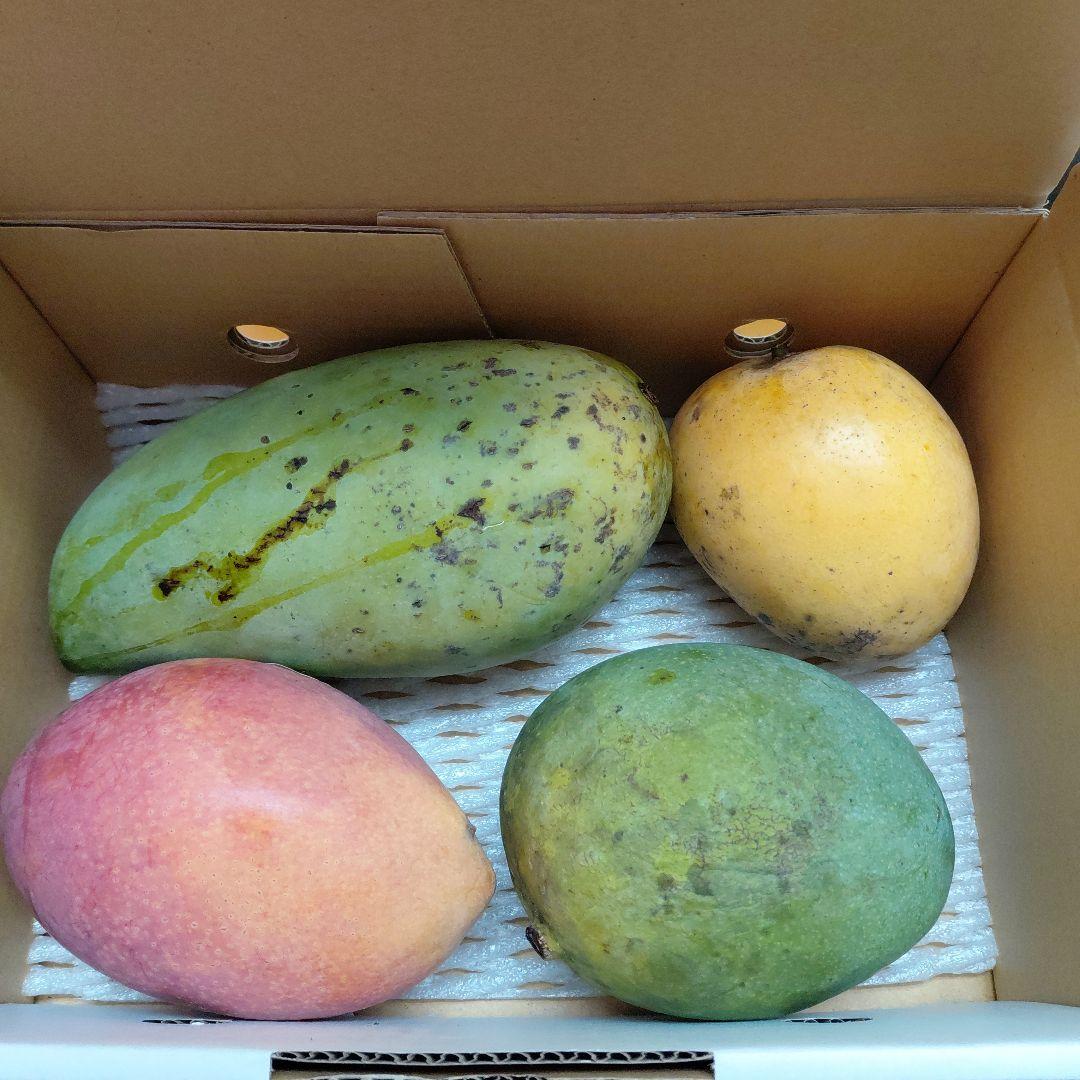 色々マンゴー食べ比べセット(きれいめ玉文入り)