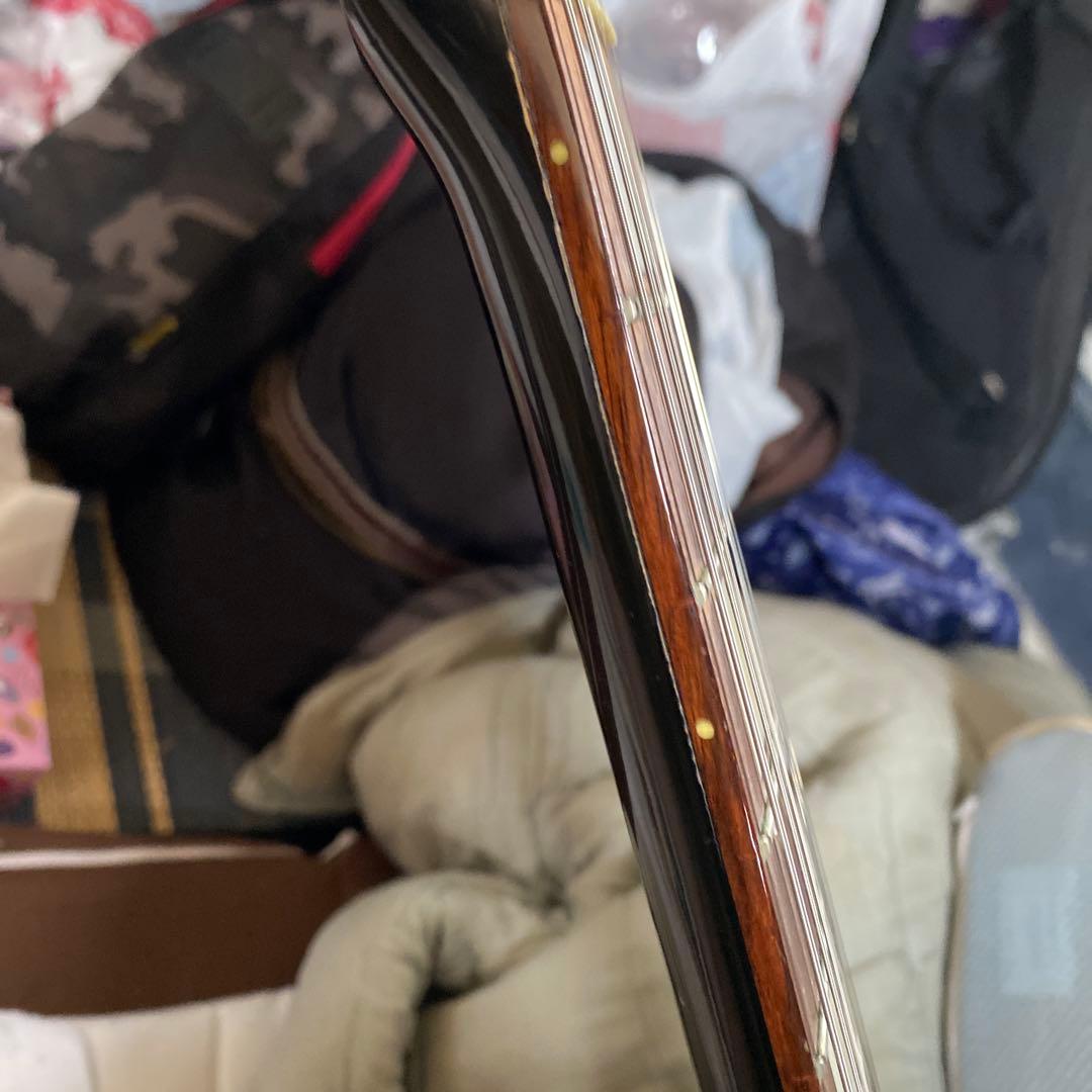 Grass Roots エレキギター パープル