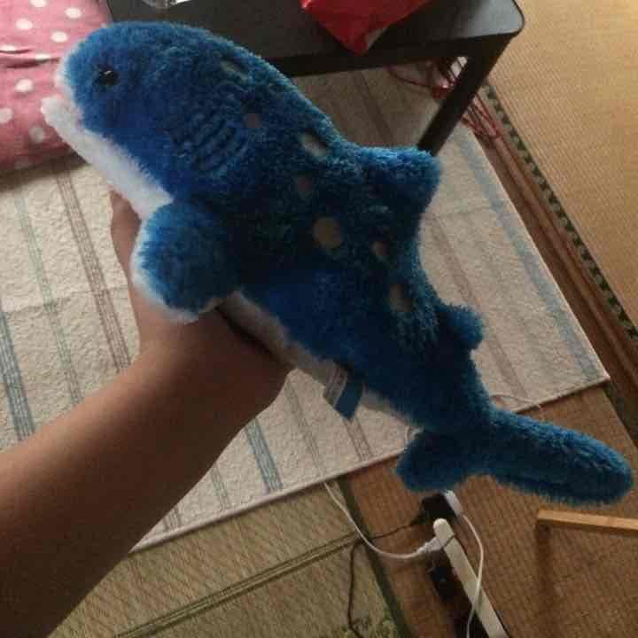 水族館 ぬいぐるみ 単品