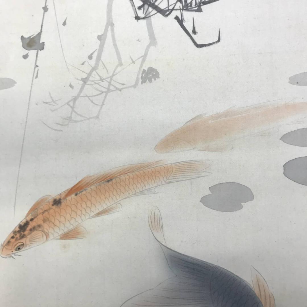 真作/森口白鯰/游鯉図/遊鯉図/鯉図/松鯉図/掛軸/名家伝来AE-387