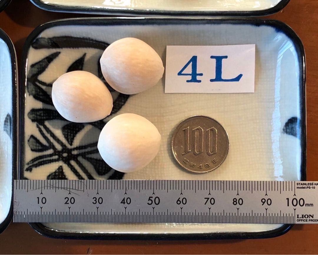 みきたん　藤九郎銀杏　4L 2kg