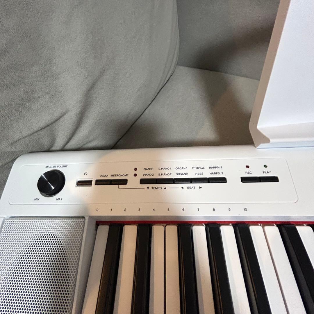 【ワカコ】YAMAHA Piaggero NP-12
