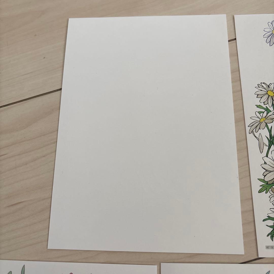 劇場版 ツルネ はじまりの一射 前売り特典 フラワービジュアルポートレート5種