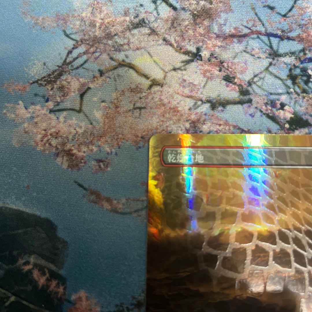 【タケ】MTG 乾燥台地/Arid Mesa ドラゴンスケイルFoil