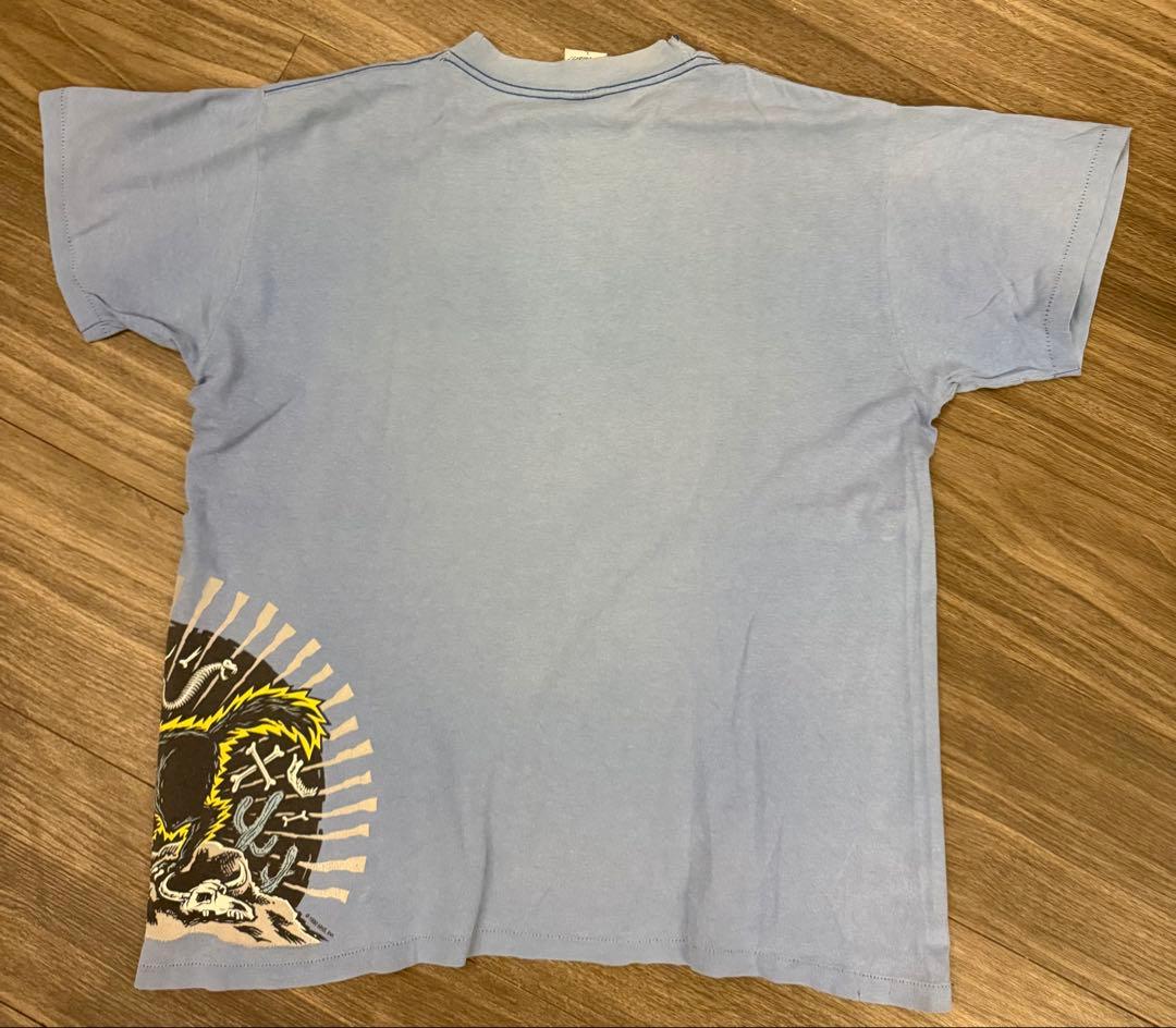 レア！サンタクルーズ　santa cruz ケンダル　ヴィンテージ