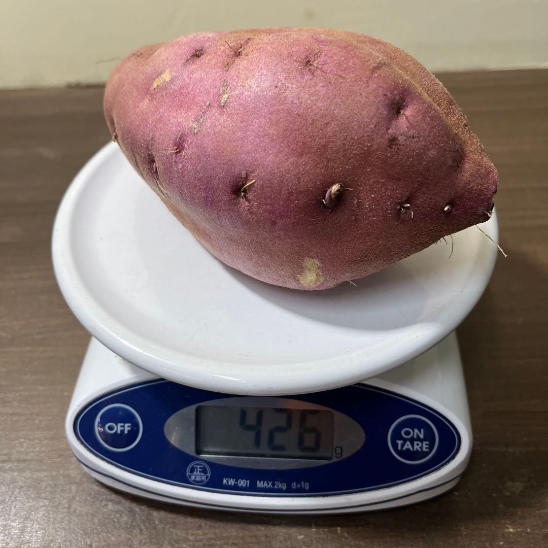 栗かぐや Lサイズ 20kg さつまいも