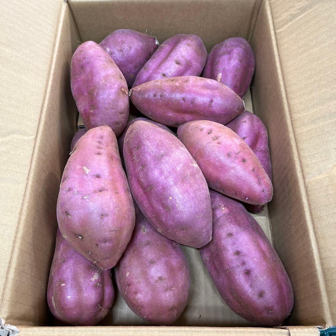 栗かぐや Lサイズ 20kg さつまいも