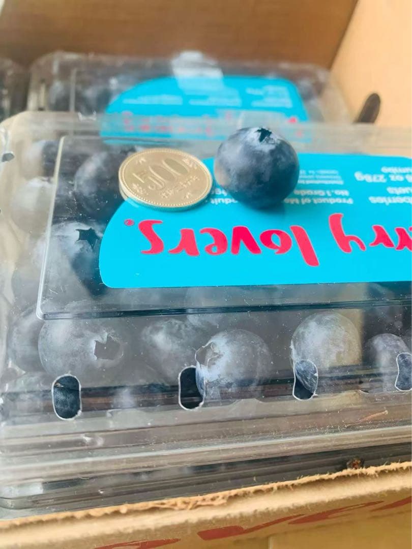 ブルベリー6パック