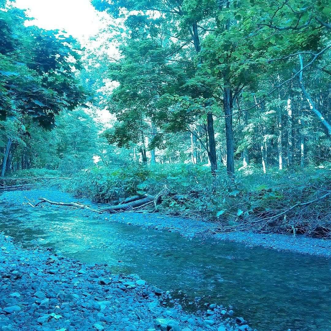 化石　標本　ノジュール原石　アンモナイト　国産　球状コンクリーション