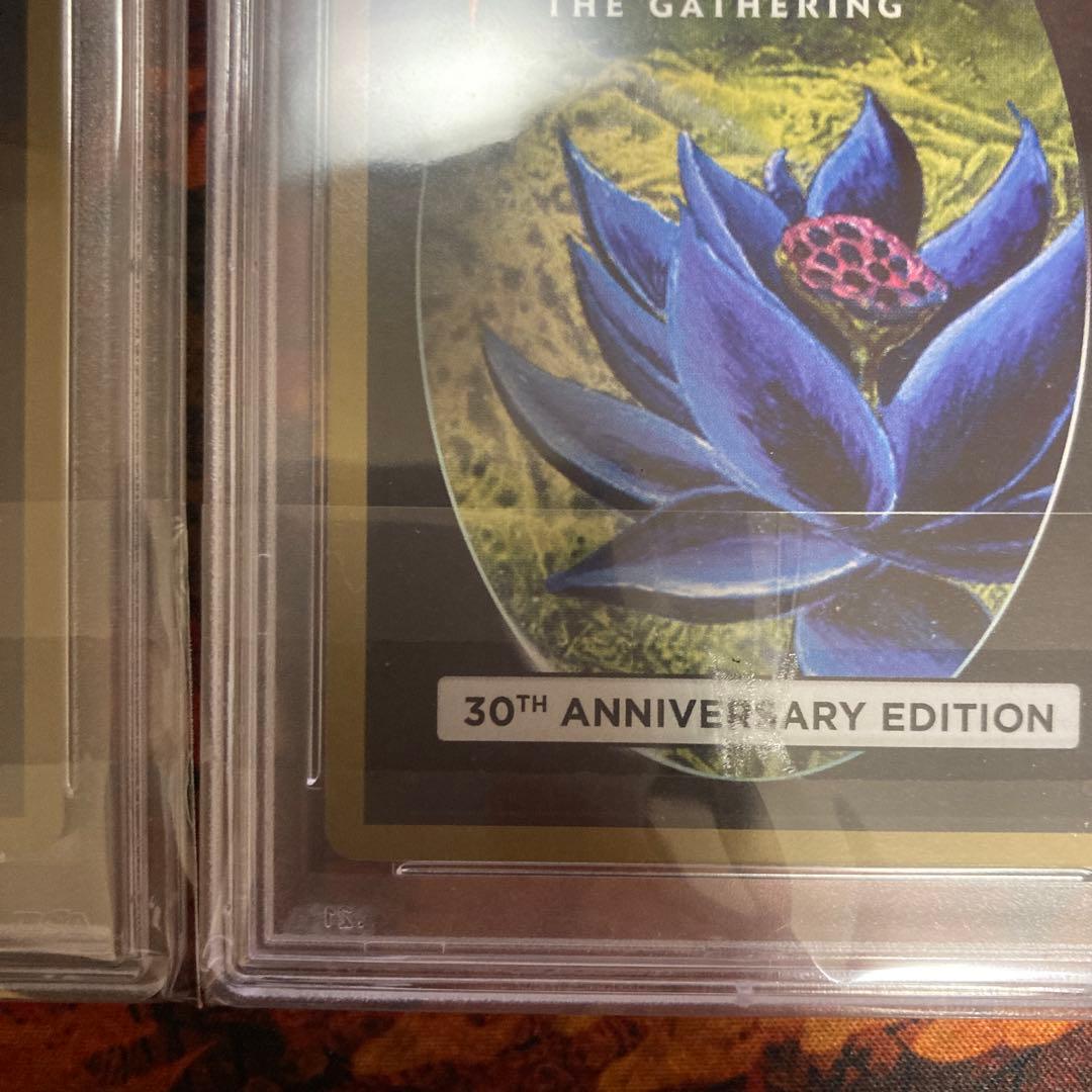 PSA10 新枠 旧枠 2枚セット Lord of the Pit 30th