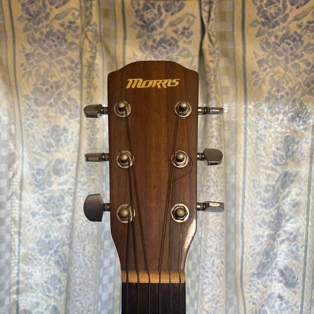 Morris アコースティックギター ナチュラル