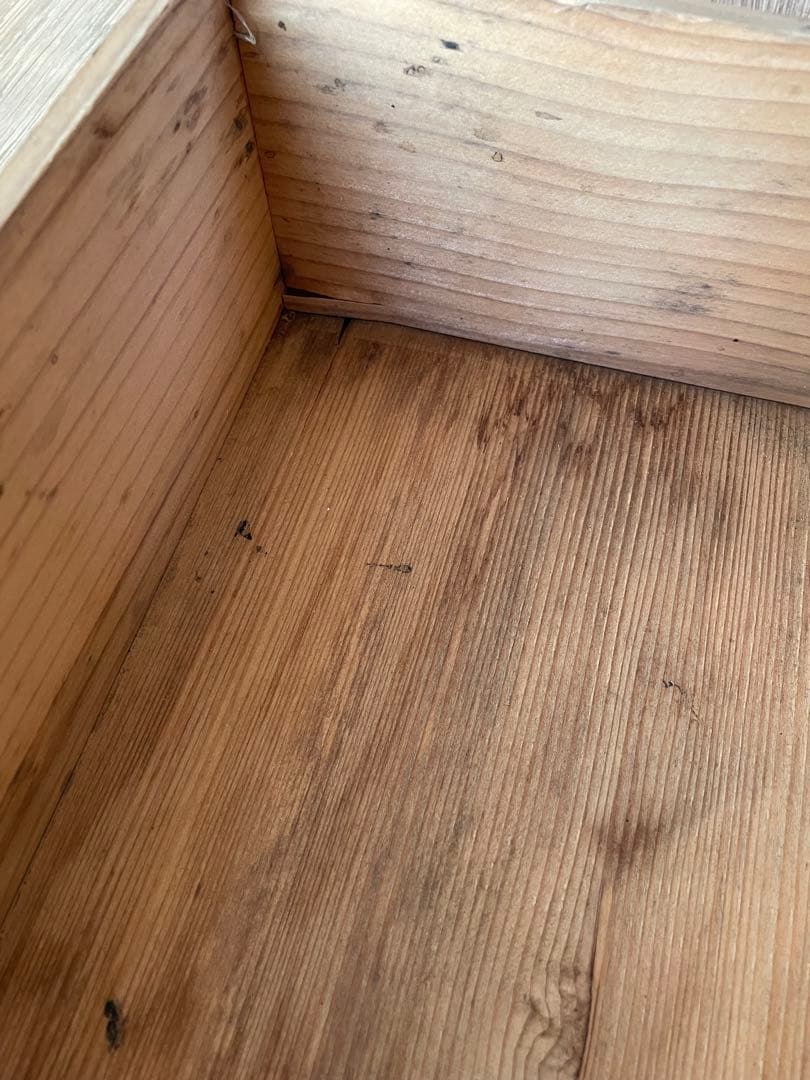 湖東焼 赤絵 金彩 鳳凰文皿