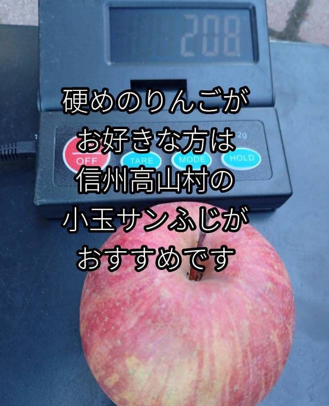【糖度20度超】信州高山村の小玉フジ15キロシャキシャキ、ジューシーなりんご