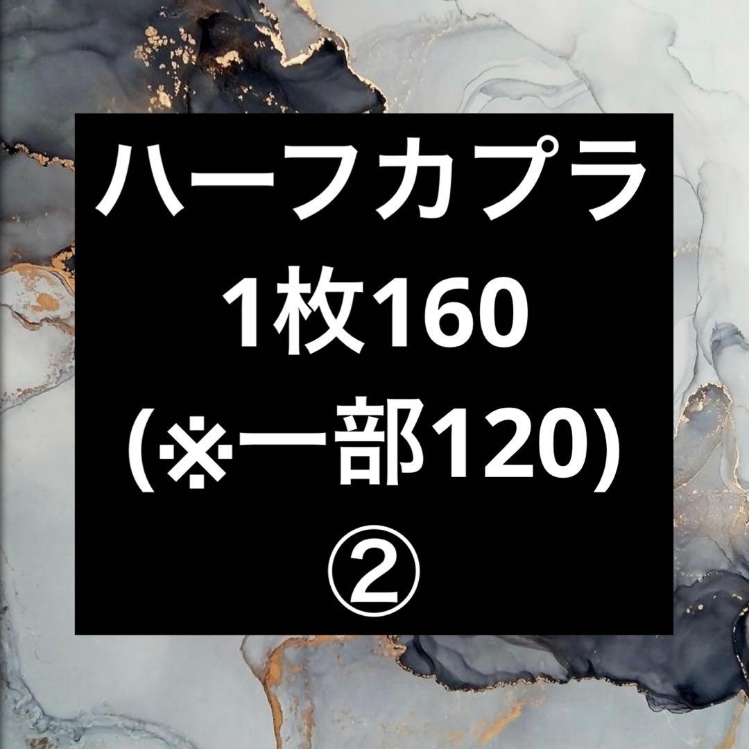 ハーフカプラ ②