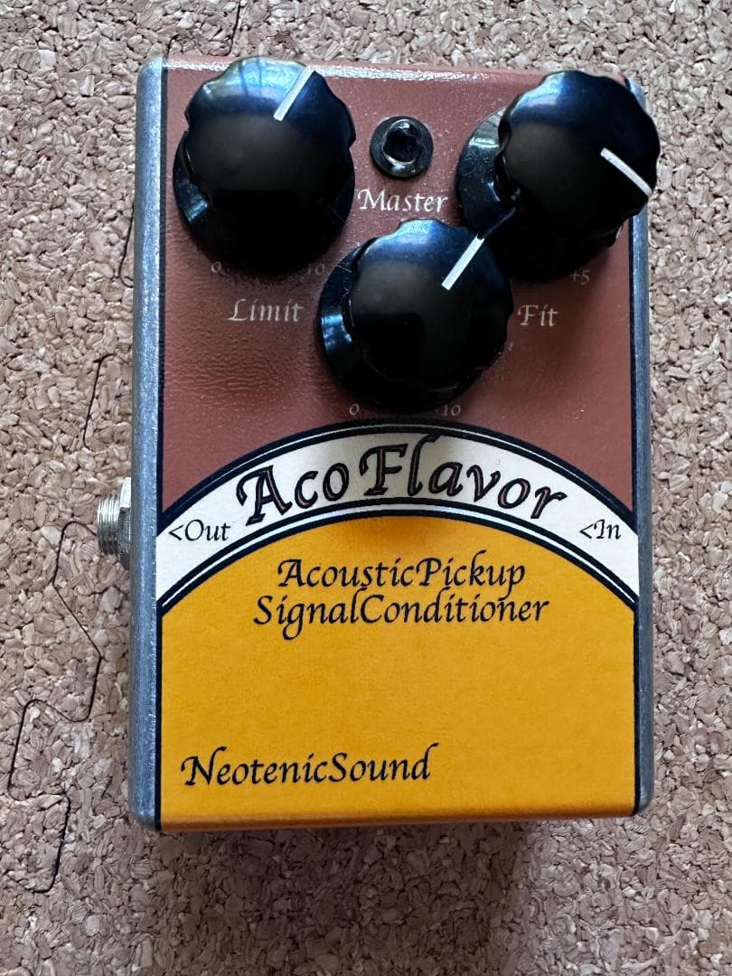ギター Neotenic Sound AcoFlavor