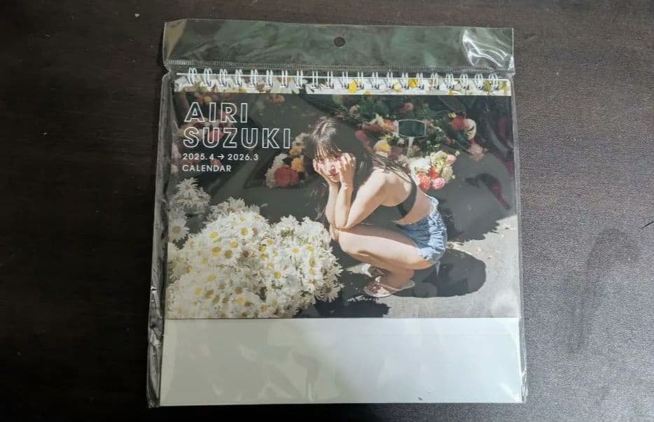 鈴木愛理 DVD・カレンダー・ぬいぐるみ・ポスター・フォトブックグッズセット