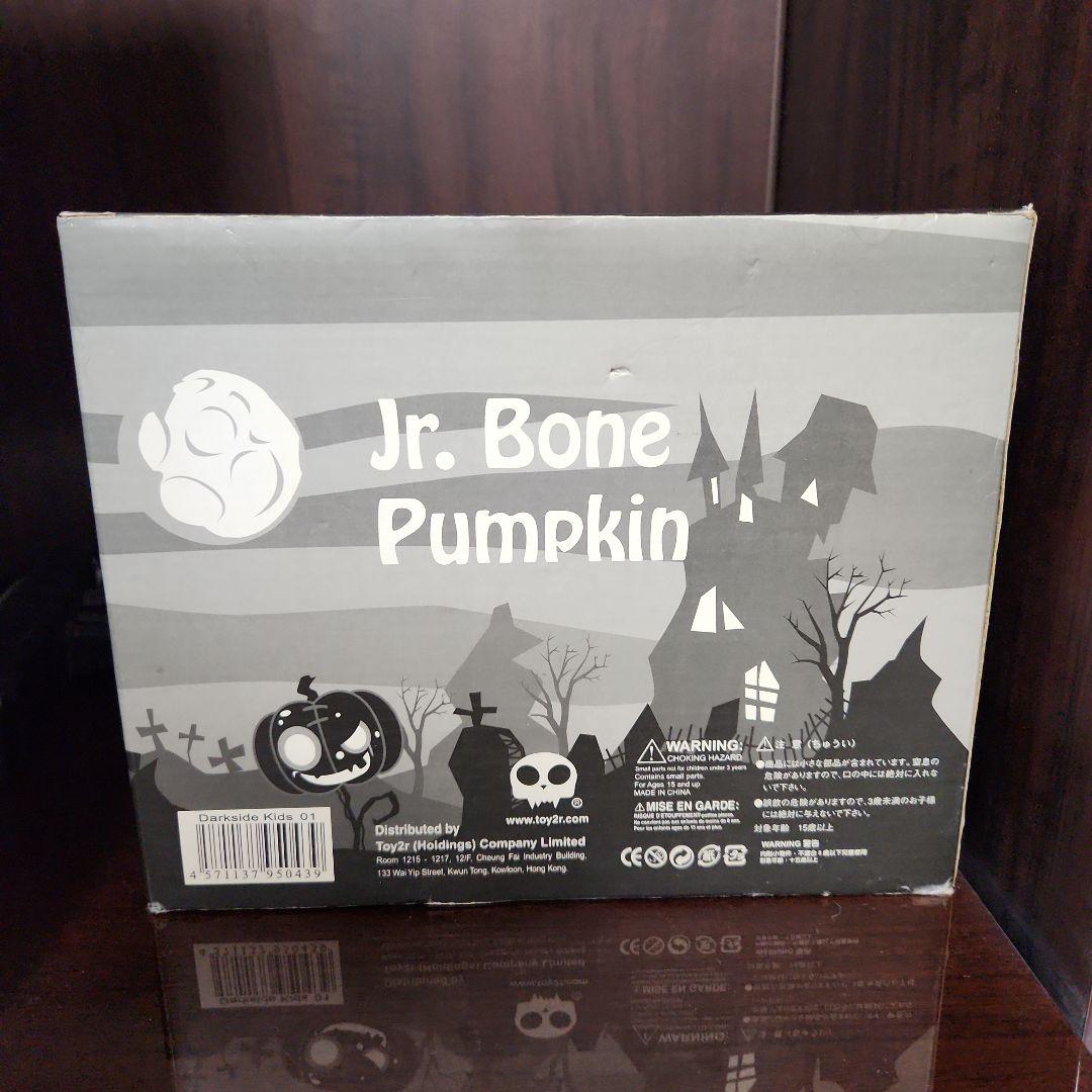 DARK SIDE Kids STEVEN フィギュア 美品 ダークサイドキッズ