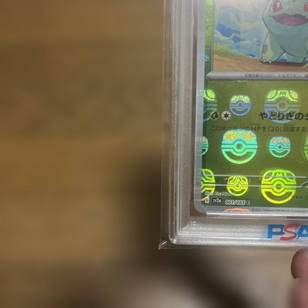 フシギダネ　マスボ　PSA10