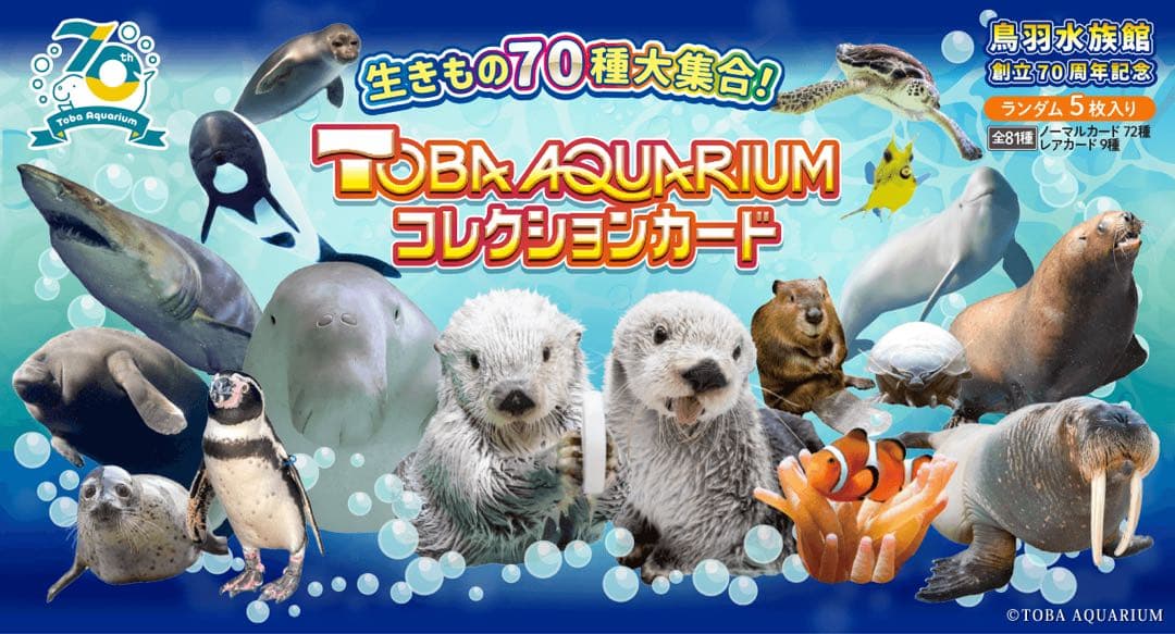 【匿名配送】鳥羽水族館　TOBA AQUARIUMコレクションカード　キラメイ