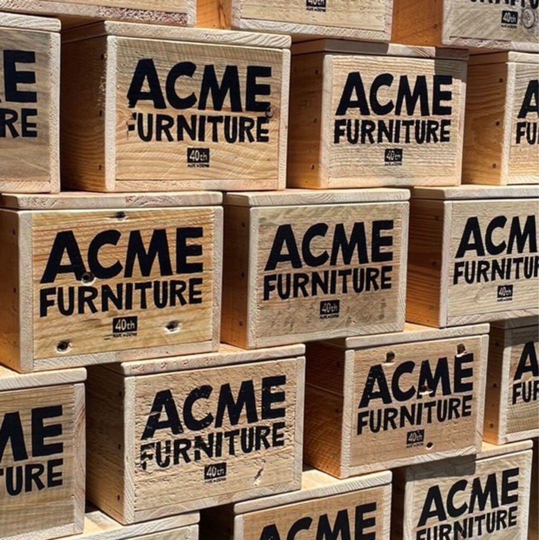 【ACME FURNITURE】花井氏STUFFED CAT with BOX