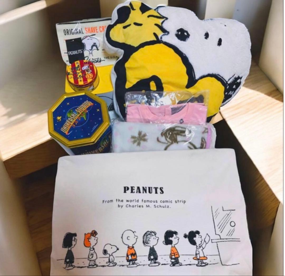 スヌーピー グッズまとめ売り　ぬいぐるみセット　雑貨　Tシャツ　お値下げ中