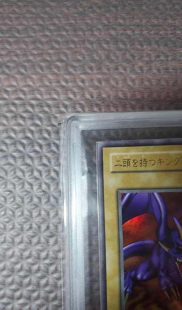 二頭を持つキング・レックス　ARS10【極美品】