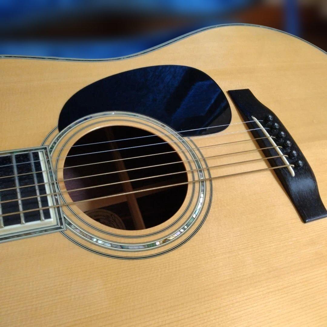 Morris W-80 アコースティックギター