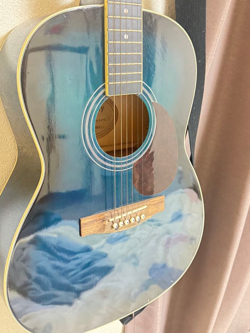 Makway アコースティックギター L-200 ブルー