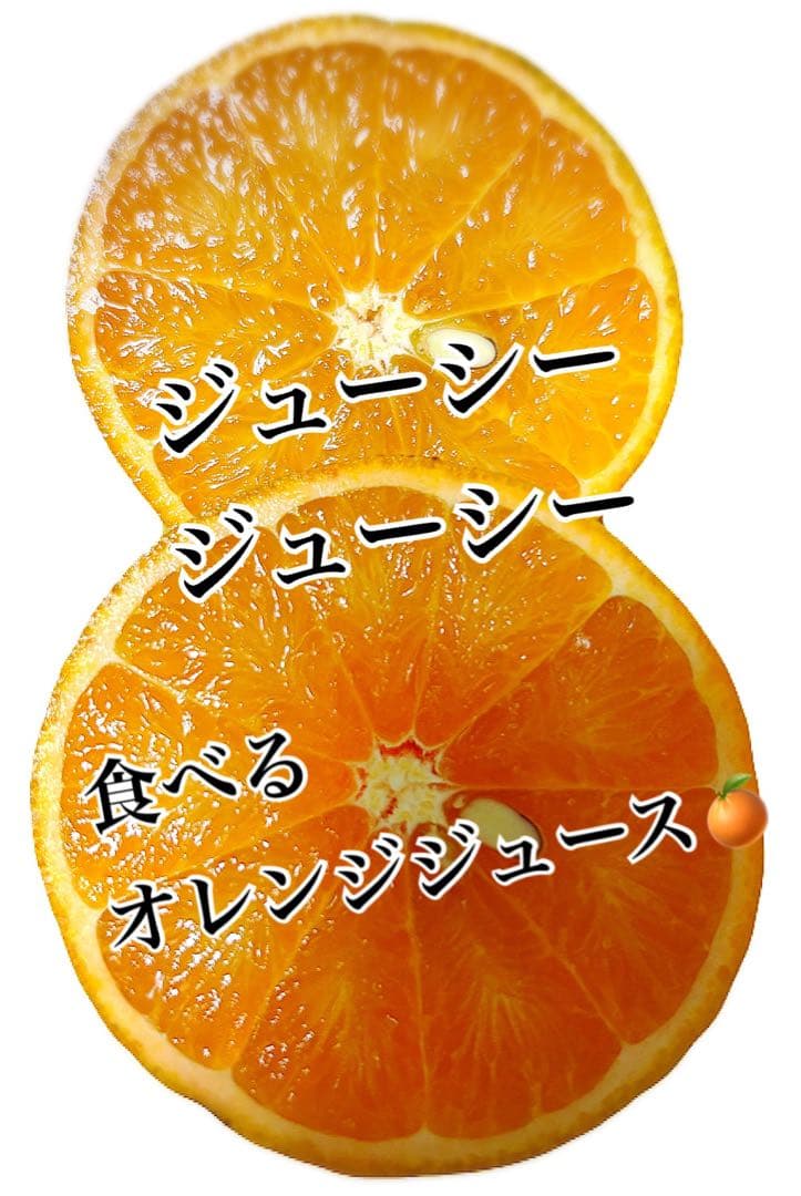 沖縄県産 タンカン 10キロ　絶品　無農薬　農家直送　みかん