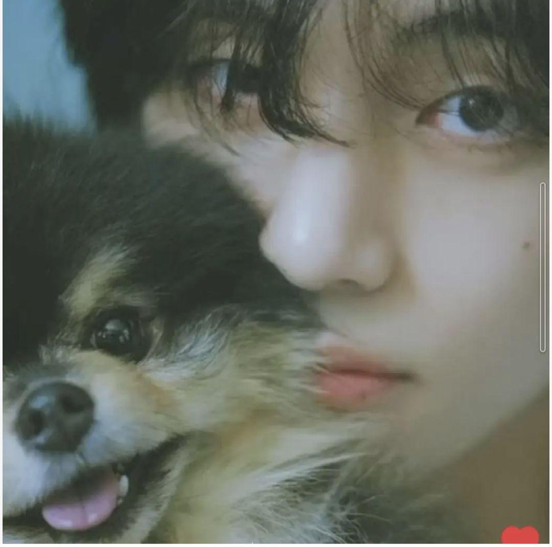 BTS V着用 ヨンタン前掛け