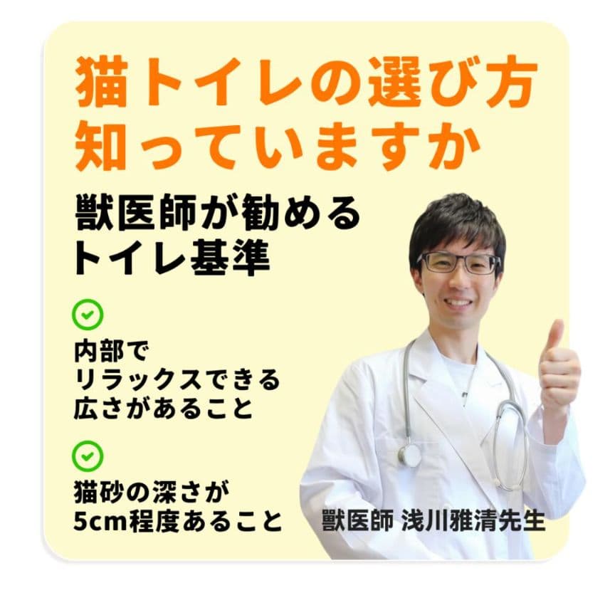 全自動猫トイレ UVライト付き