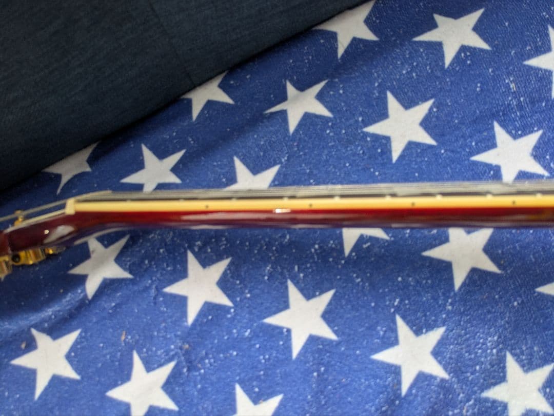 貴重！　エピフォン　ジェネシス