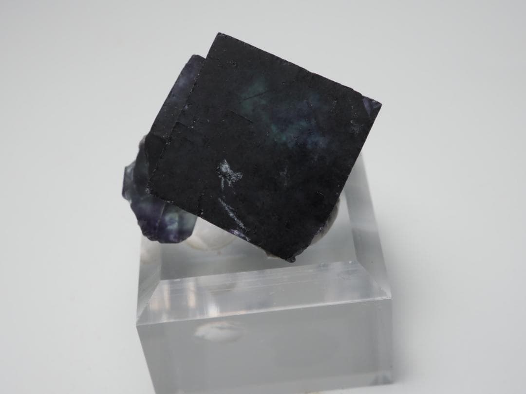 オコルス フローライト 蛍石 鉱物標本 449