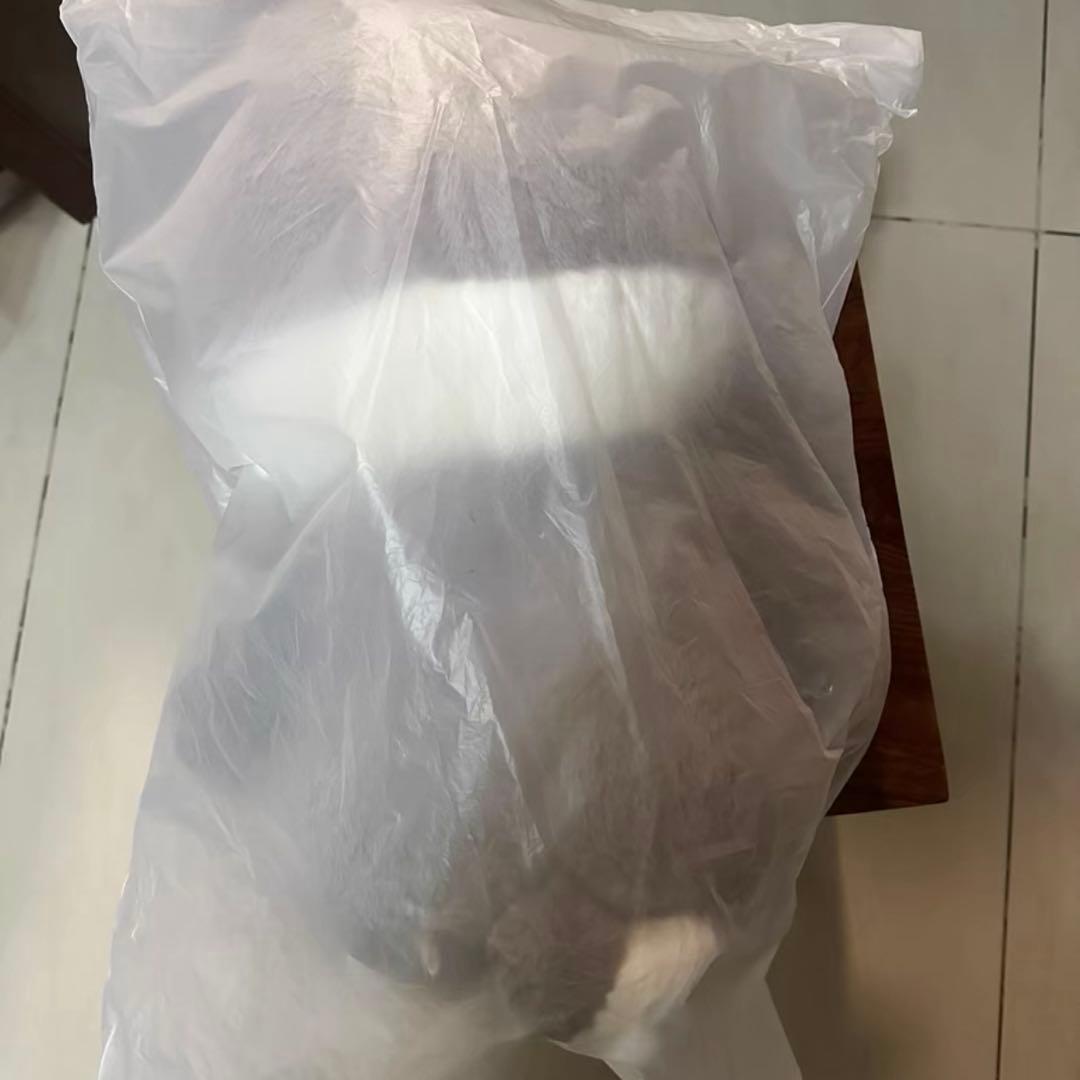 straykids スキズ テディベア SKZOO ウルフチャン　te