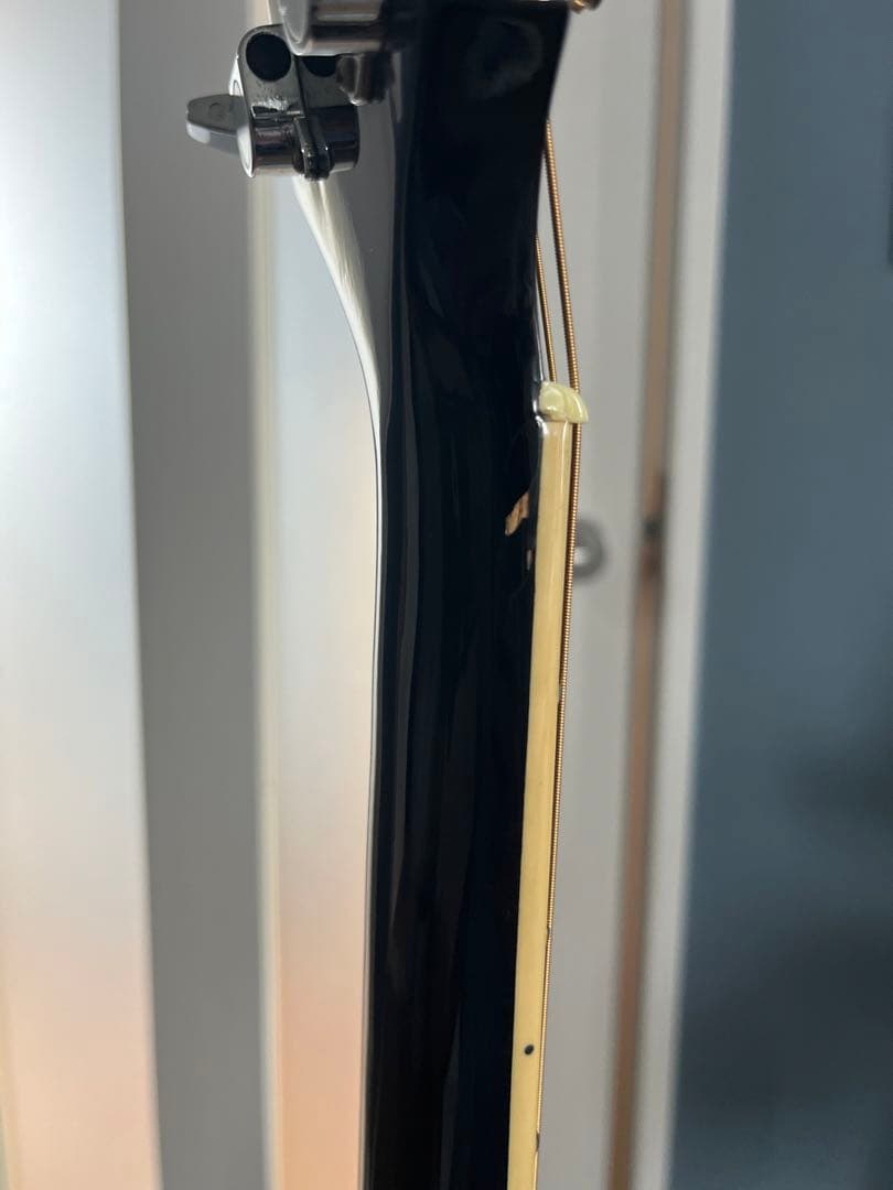 Ibanez Talman TCY10 エレアコ