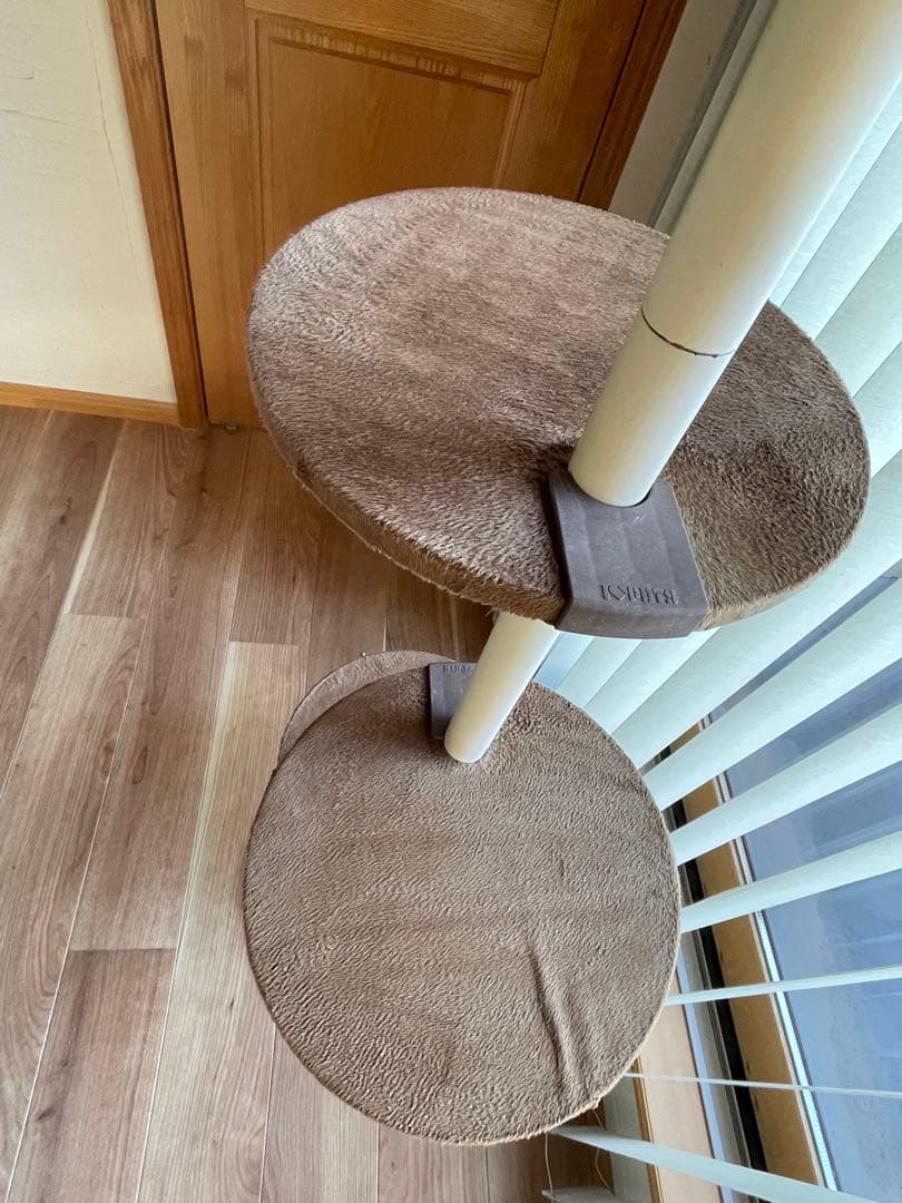 ボンビアルコン　キャットポール