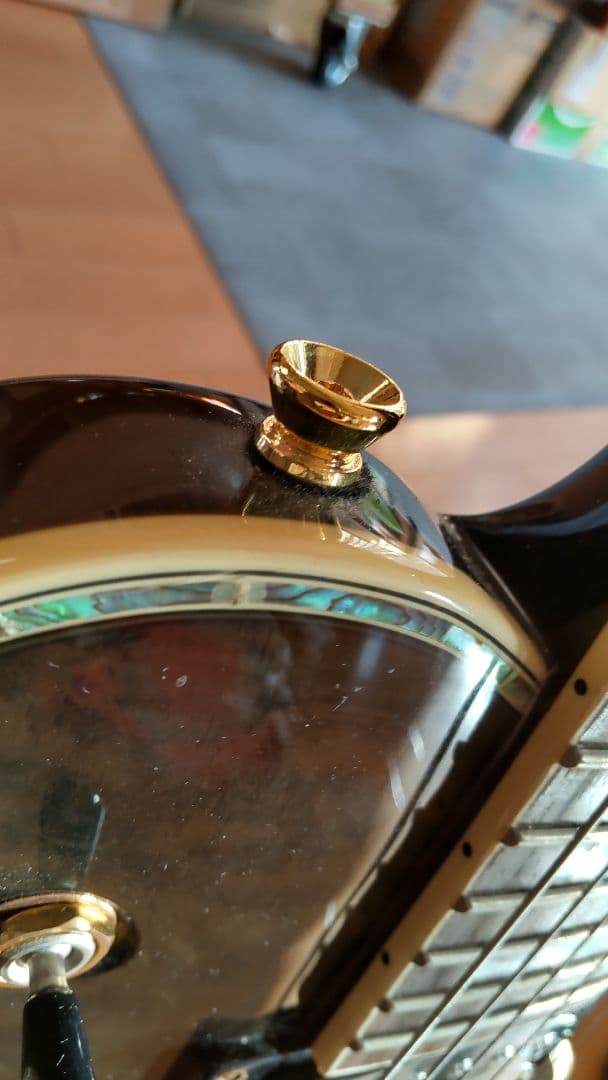 ARIA pe509ニアミント