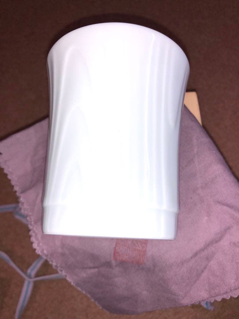 武腰 潤　川蝉の絵　フリーカップ