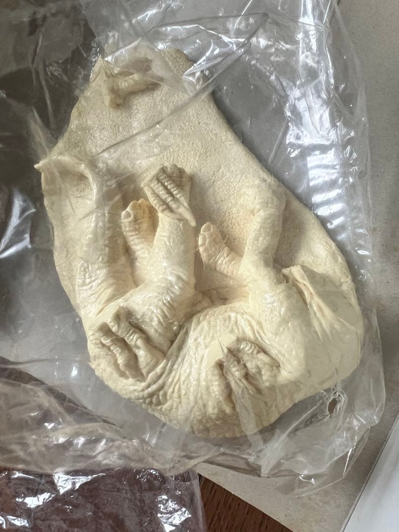 海洋堂　ヴェロキラプトル　レジンキット　恐竜　動物　フィギュア