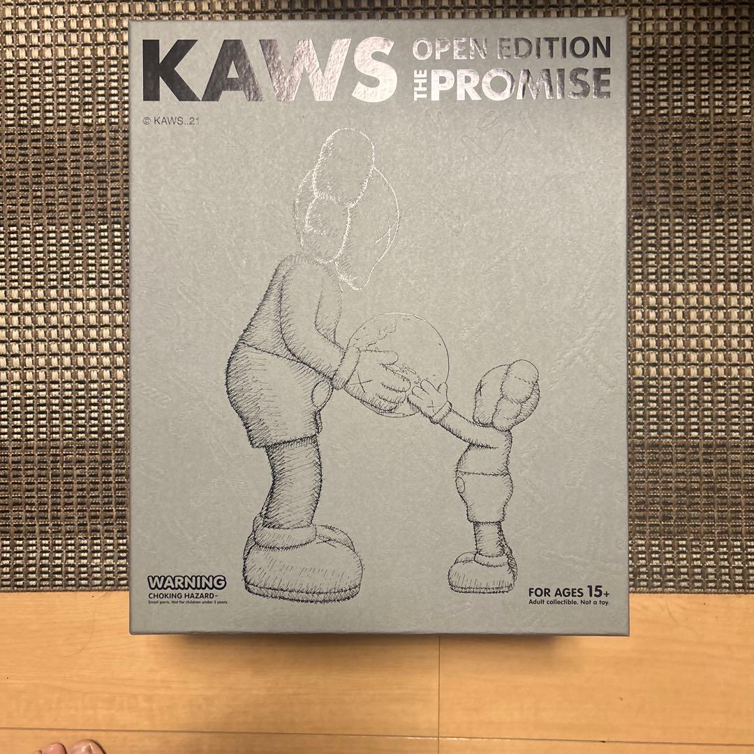 専用　kaws the promise カウズ　真作　絶版