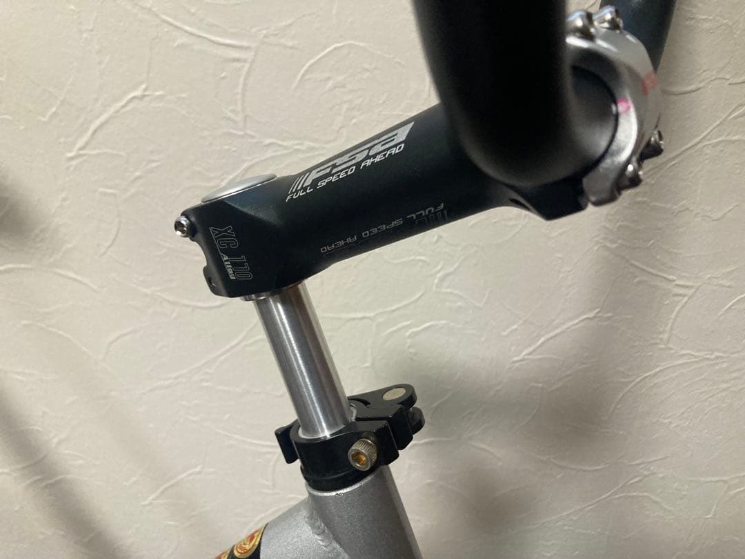 ストライダープロ　ランバイク　大人用