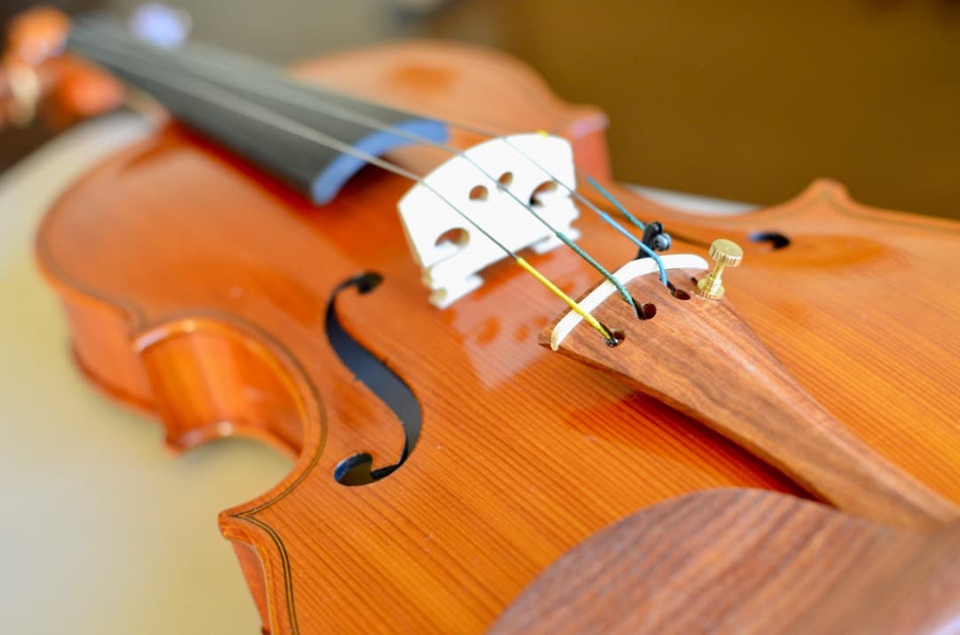 【銘品】ピグマリウス バイオリン ST-03 カスタム 4/4＋アルシェ弓