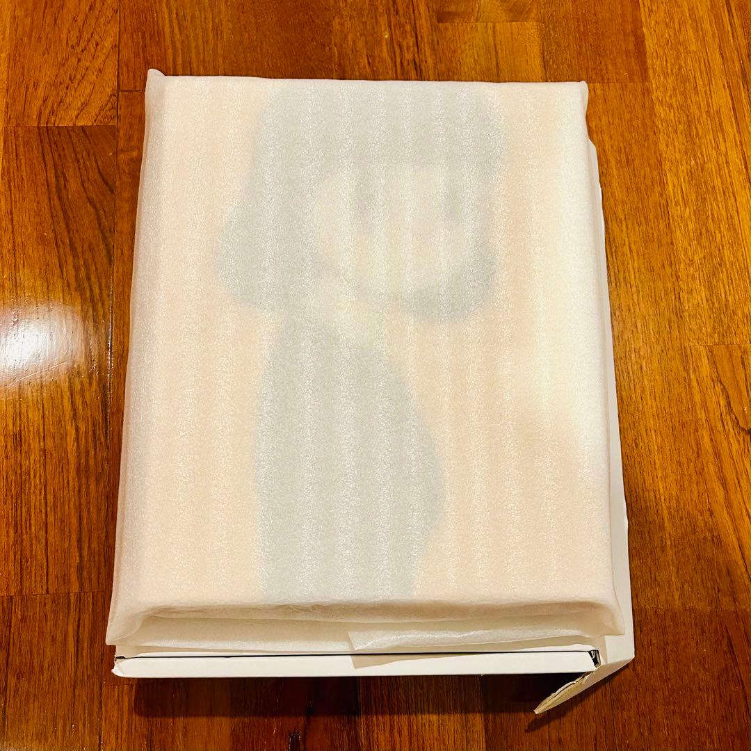 ハシヅメユウヤ　橋爪悠也 eyewatar ジークレー キャンバス COA有