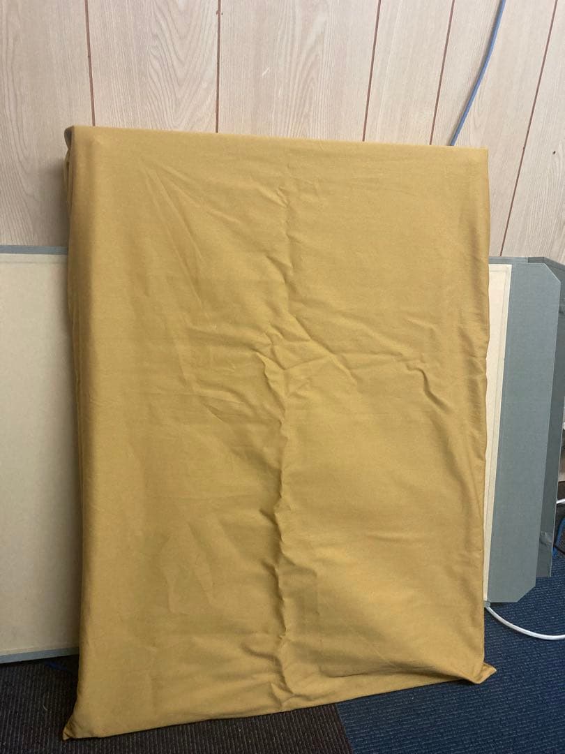 v*v様 猫の絵画 京都絵美 ( みやこ えみ)作