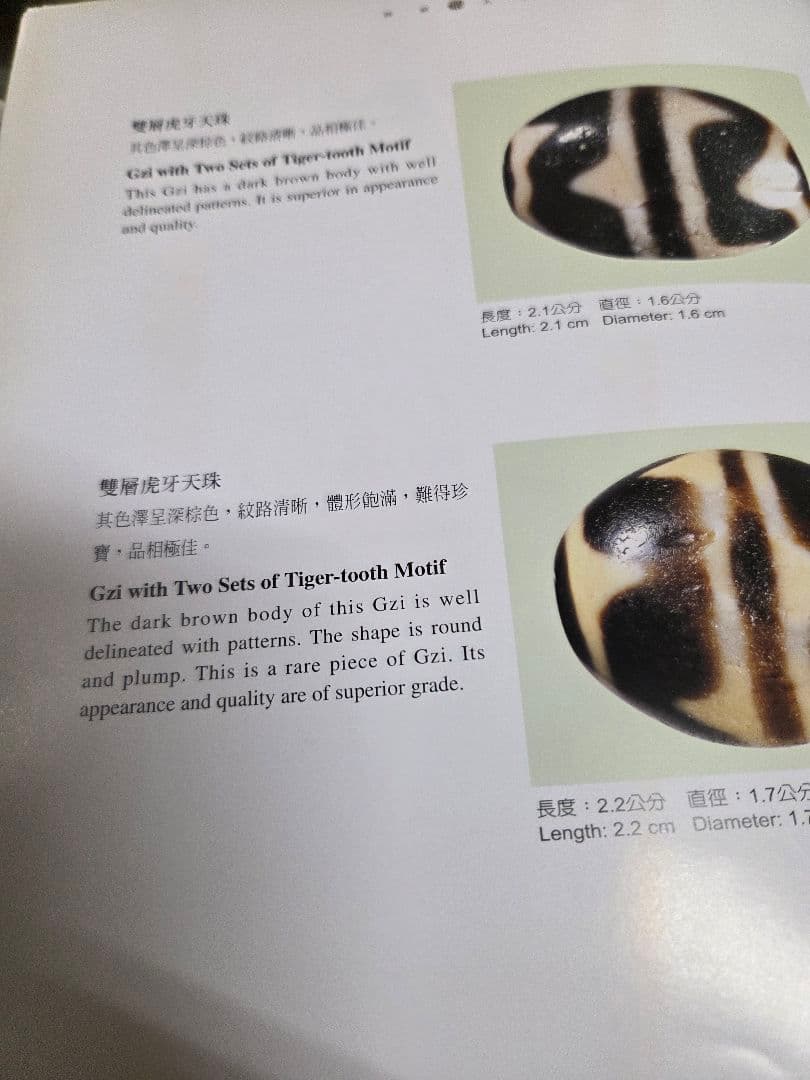 955　専用です。　上肯　双虎牙天珠　龍紋　希少　dzibeads！