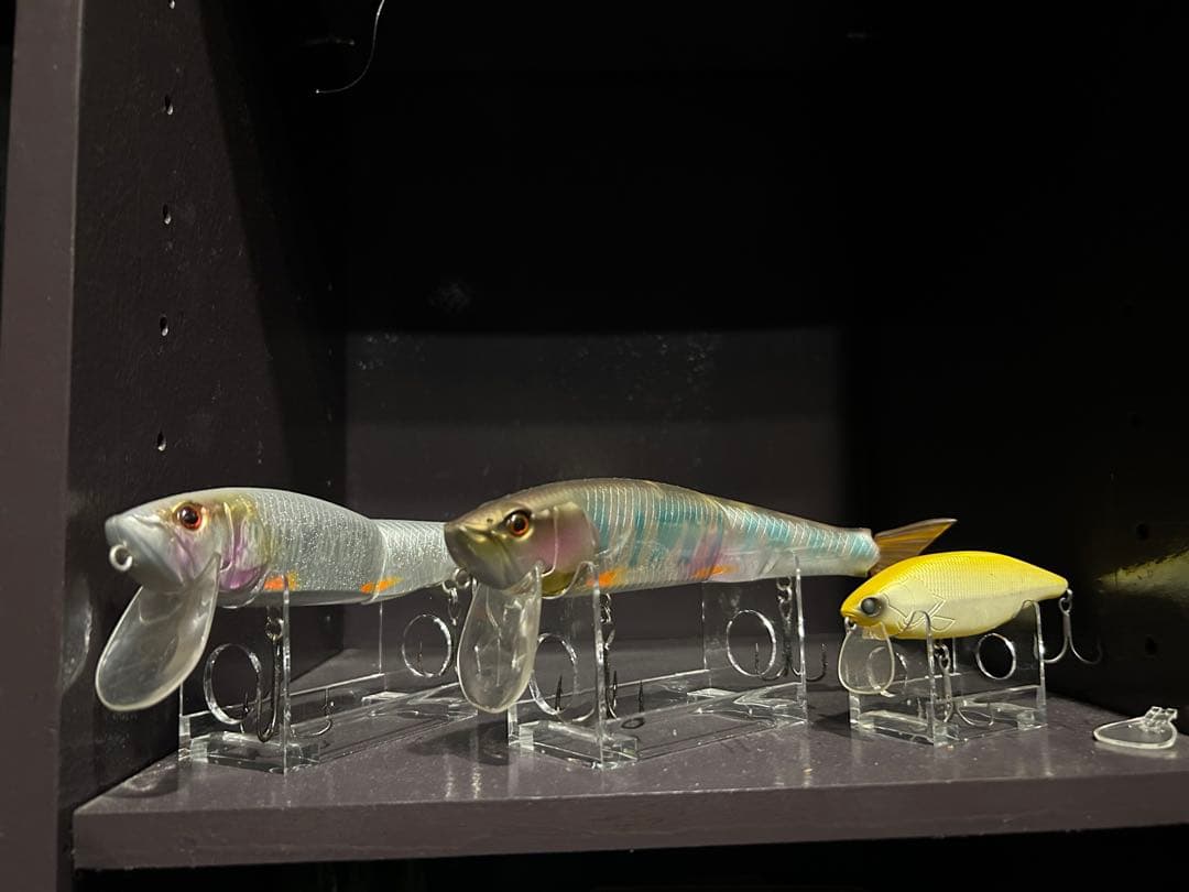 ザリバイブ、ハスフラットなど、、