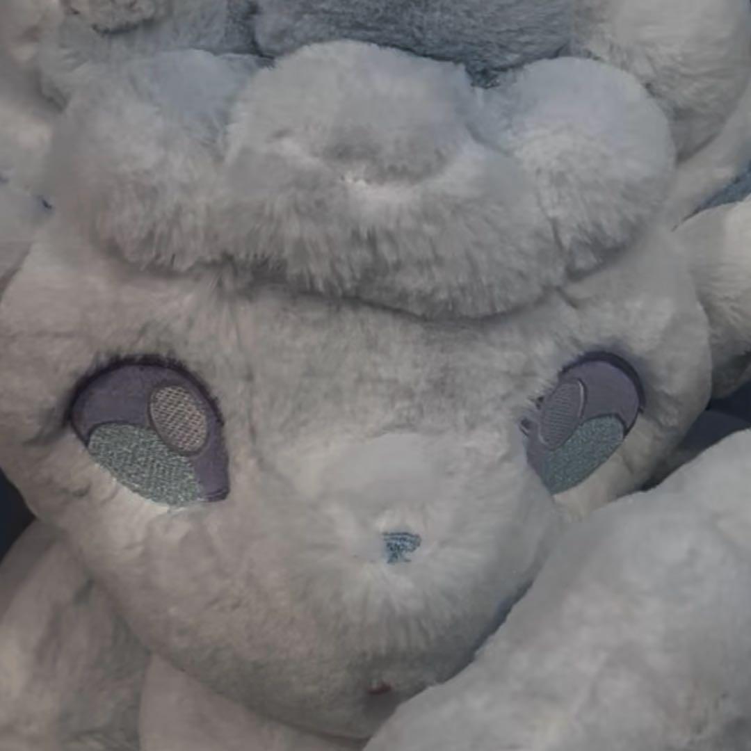 ふわふわ抱きぬいぐるみ アローラロコン　5体セット