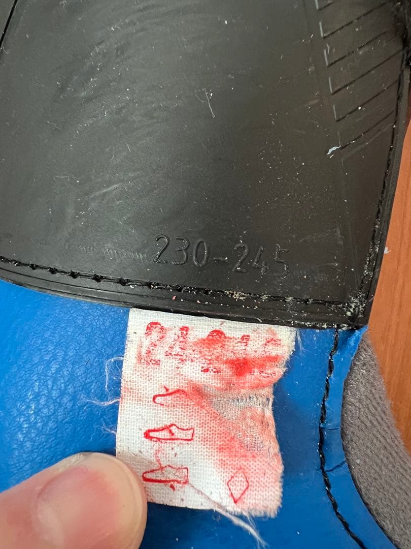 LANGE ジュニア　スキーブーツ 24.5 RSJ60